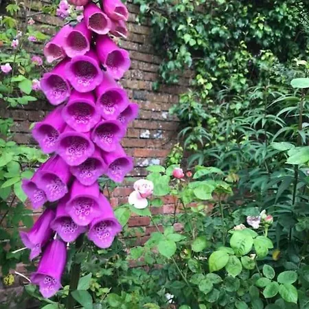 Castle Wing Barmeath Estate 度假居