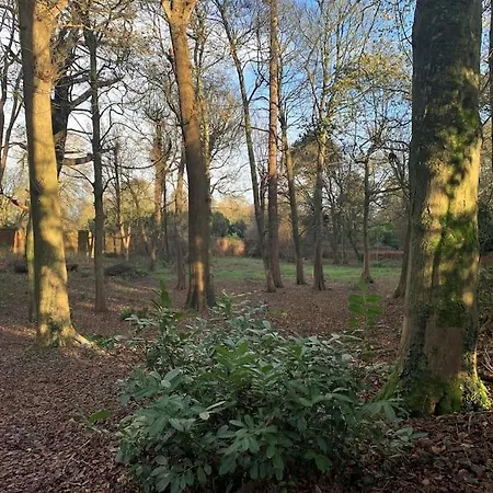 Castle Wing Barmeath Estate 度假居 *