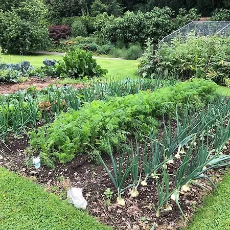 度假居 Castle Wing Barmeath Estate *