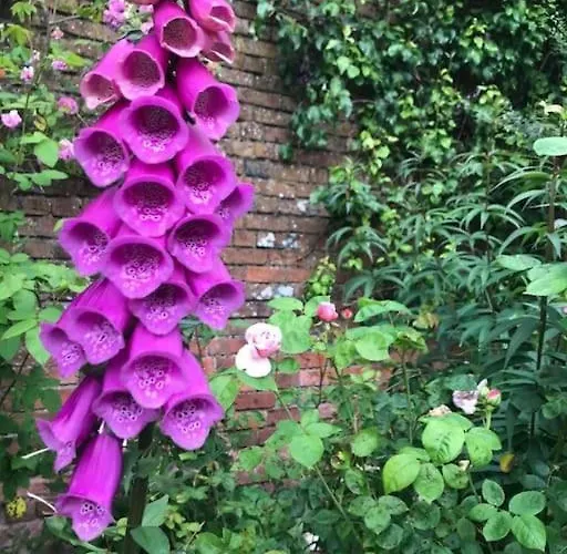 Castle Wing Barmeath Estate Hébergement de vacances