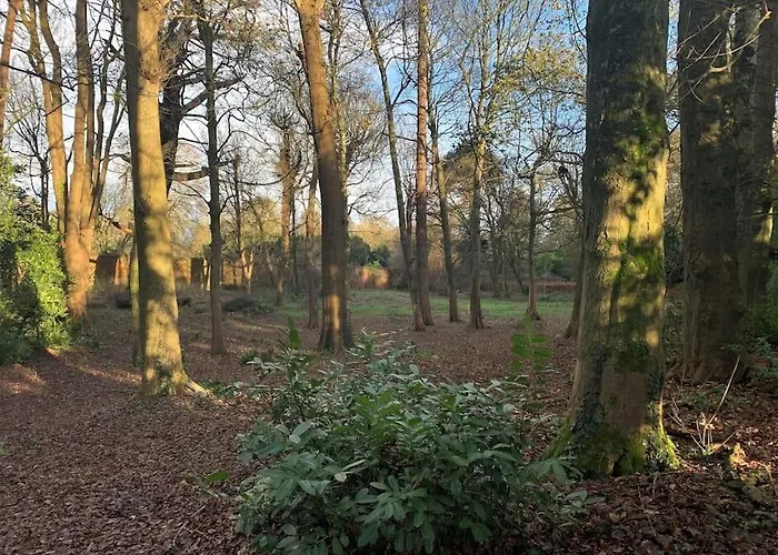 Castle Wing Barmeath Estate Hébergement de vacances *