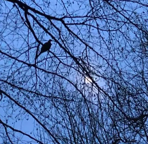 Castle Wing Barmeath Estate *