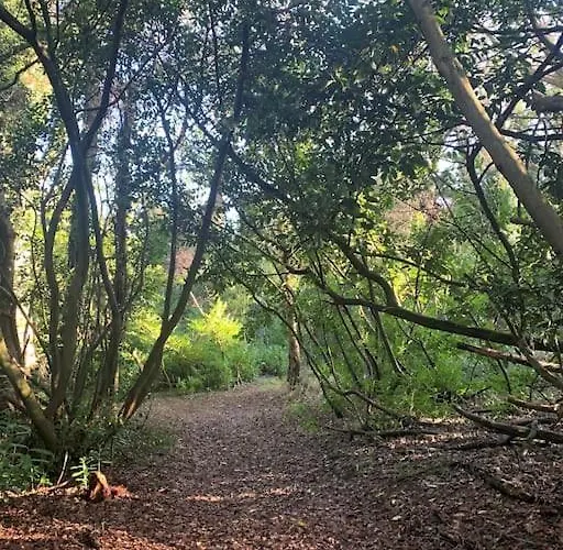 Castle Wing Barmeath Estate